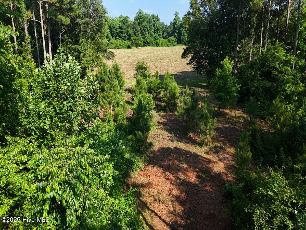 1 Barbee Road Richlands, NC 28574 - Photo 33 of 39 33. Area 1. Ground