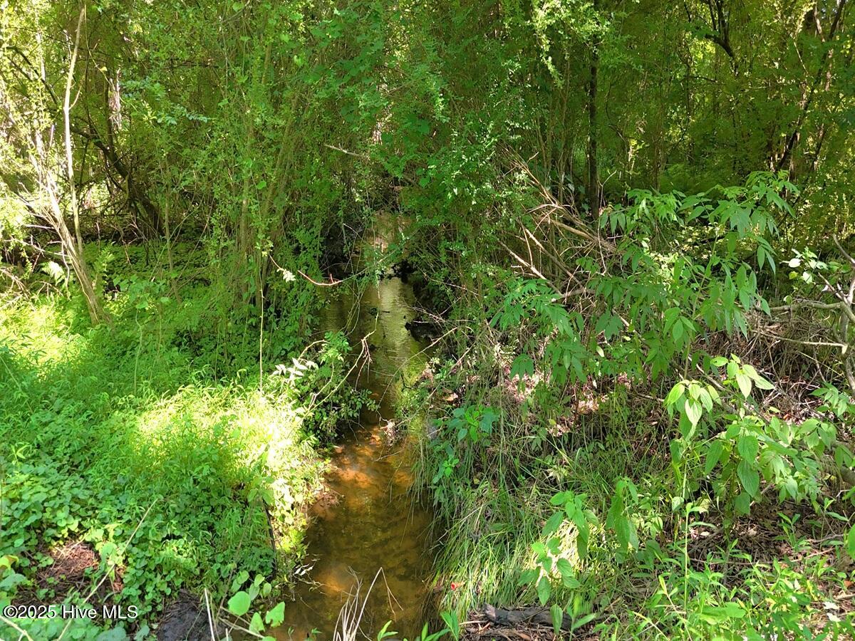 1 Barbee Road Richlands, NC 28574 - Photo 36 of 39 36. Area 1. Creek Image