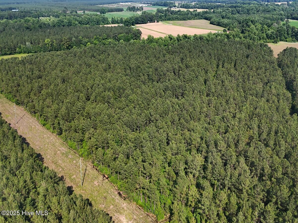 1 Barbee Road Richlands, NC 28574 - Photo 38 of 39 38. Area 1. Easement b