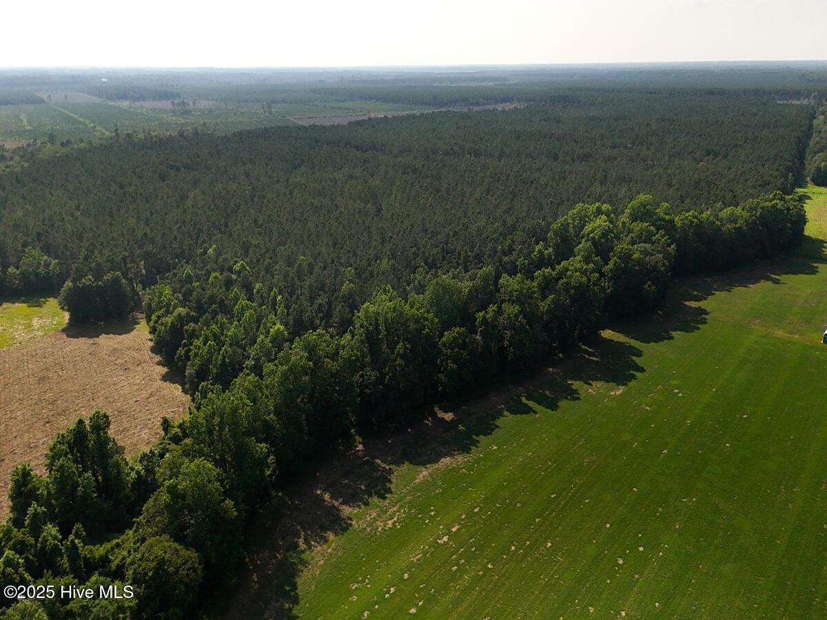 1 Barbee Road Richlands, NC 28574 - Photo 7 of 39 7. East Area 1. b