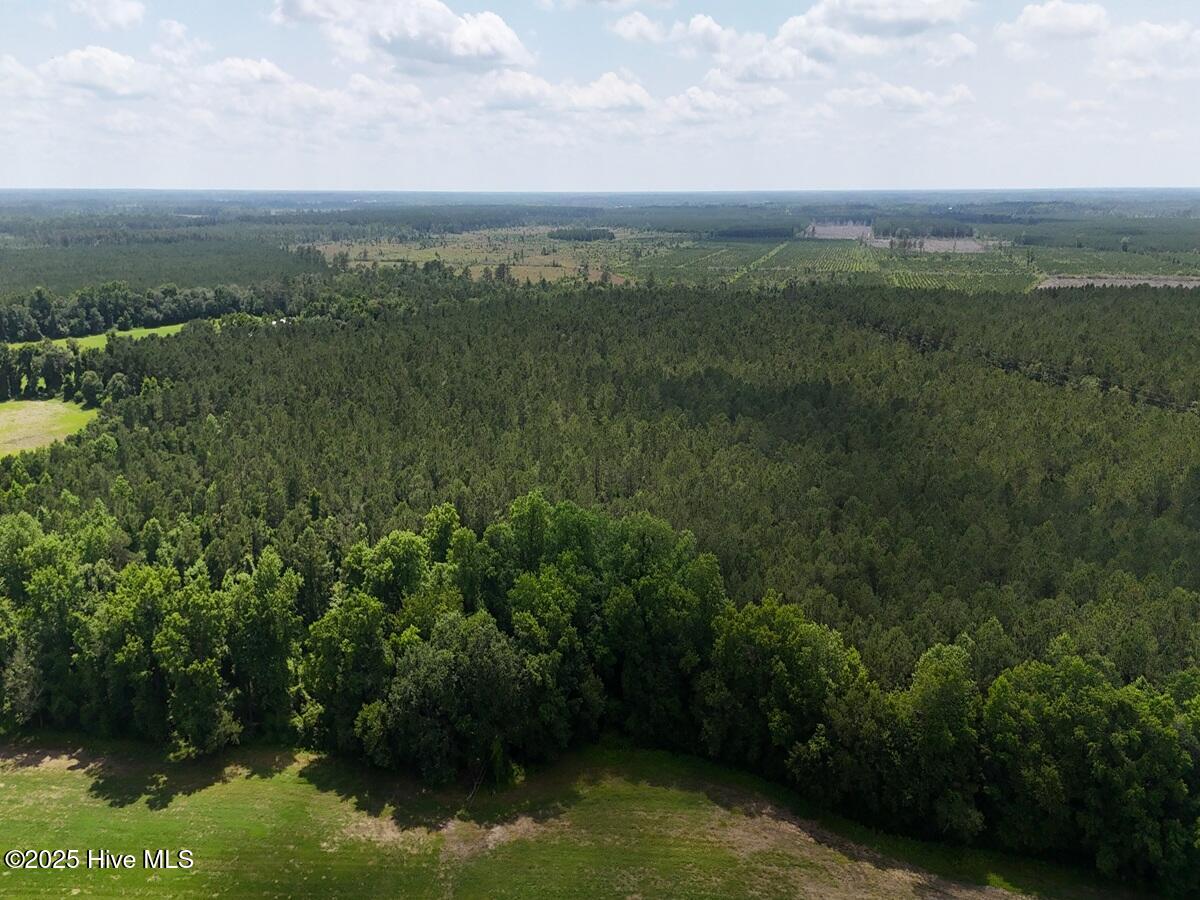 1 Barbee Road Richlands, NC 28574 - Photo 8 of 39 8. East Area 1. c