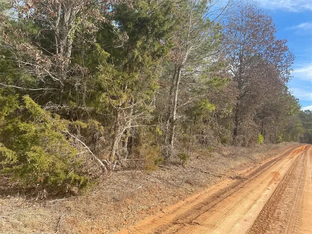 a view of a backyard of the house