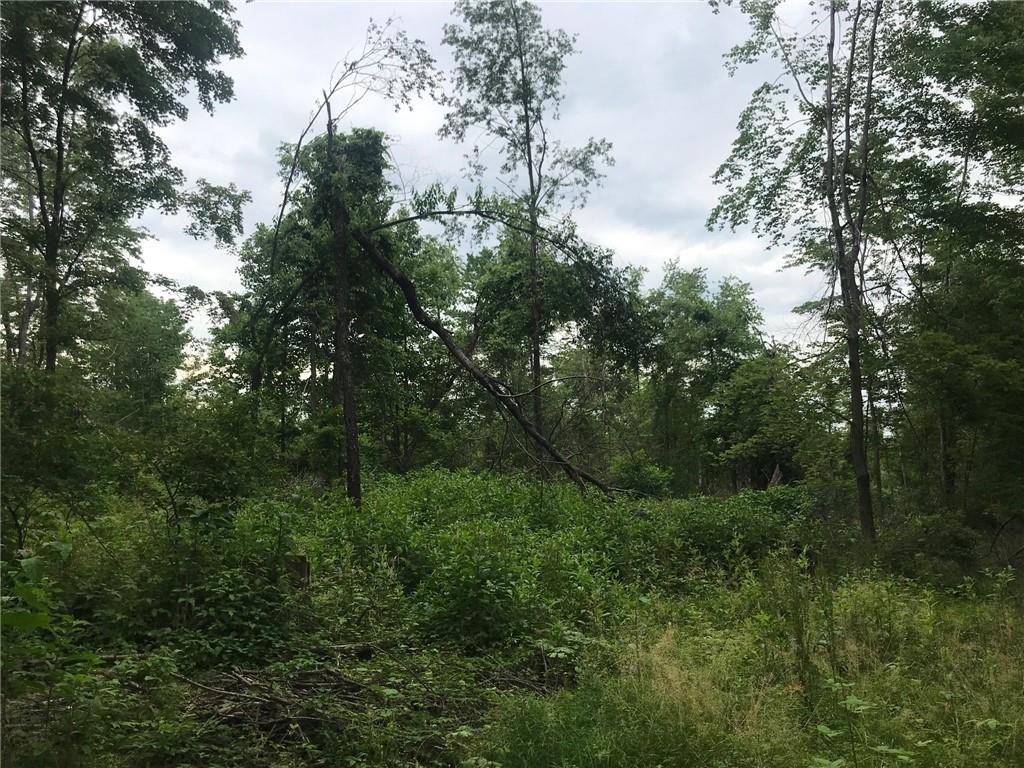 0 Rodgers Hill Road Fredonia, PA 16124 - Photo 2 of 3