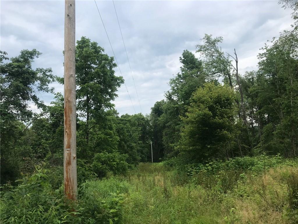 0 Rodgers Hill Road Fredonia, PA 16124 - Photo 3 of 3