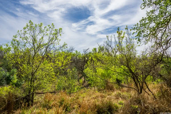 $1,500,000 | 994 Marburger Road, Crystal City, TX 78839