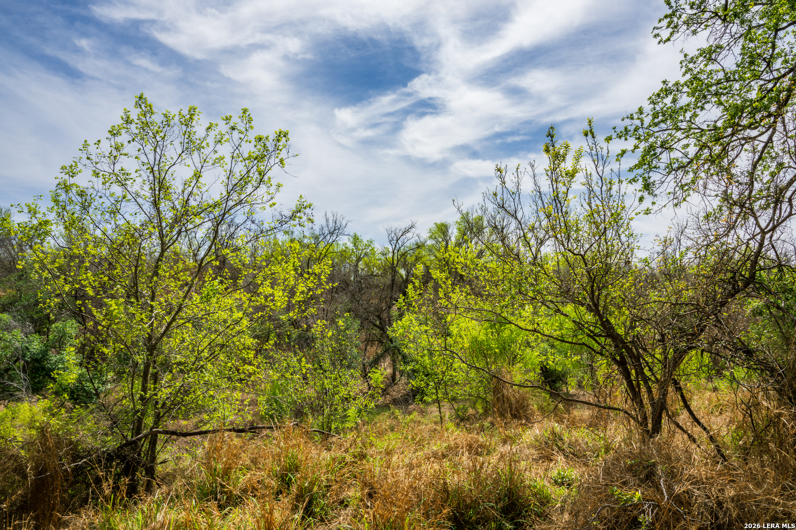 994 Marburger Road Crystal City, TX 78839 - Photo 11 of 47