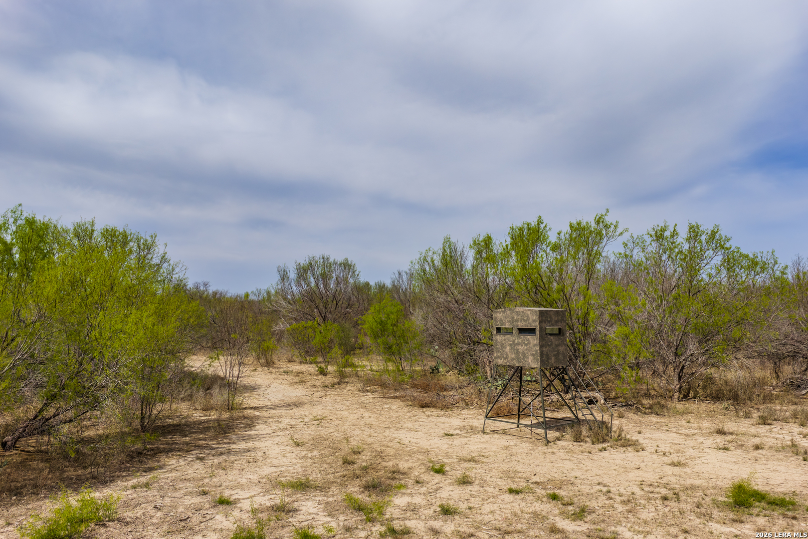 994 Marburger Road Crystal City, TX 78839 - Photo 12 of 47