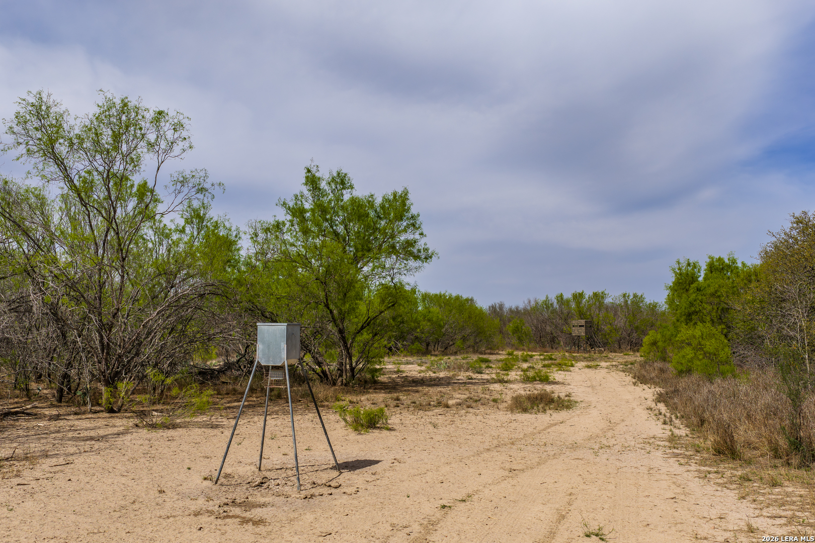 994 Marburger Road Crystal City, TX 78839 - Photo 13 of 47