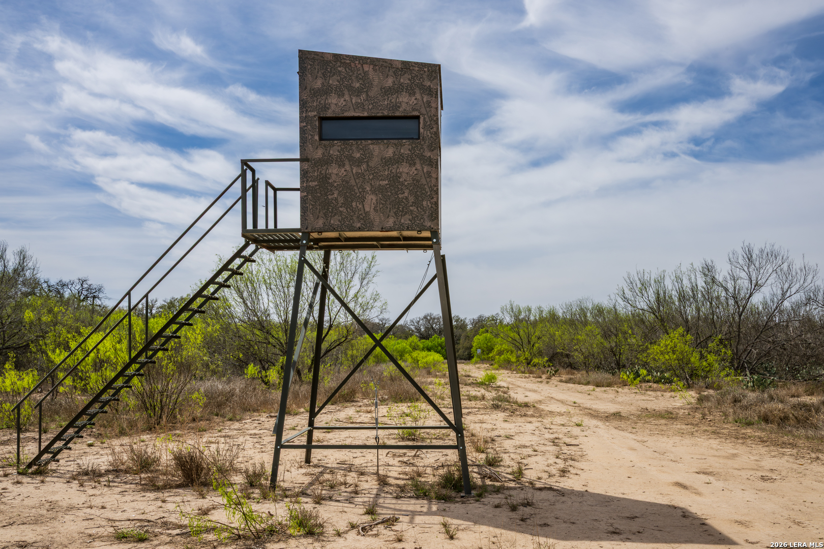 994 Marburger Road Crystal City, TX 78839 - Photo 14 of 47