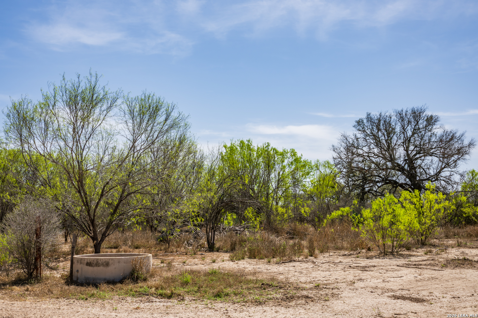 994 Marburger Road Crystal City, TX 78839 - Photo 27 of 47