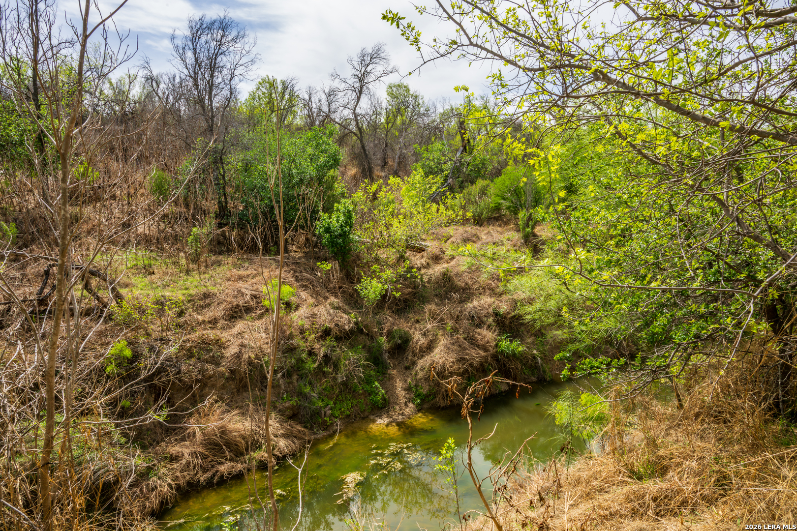 994 Marburger Road Crystal City, TX 78839 - Photo 3 of 47