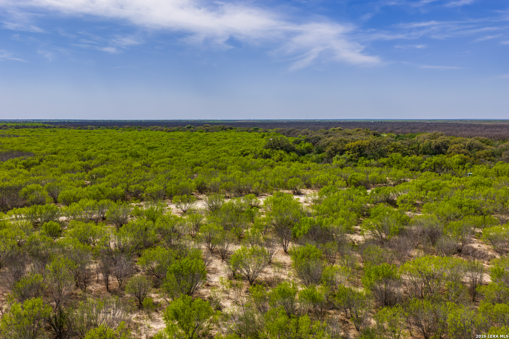 994 Marburger Road Crystal City, TX 78839 - Photo 33 of 47