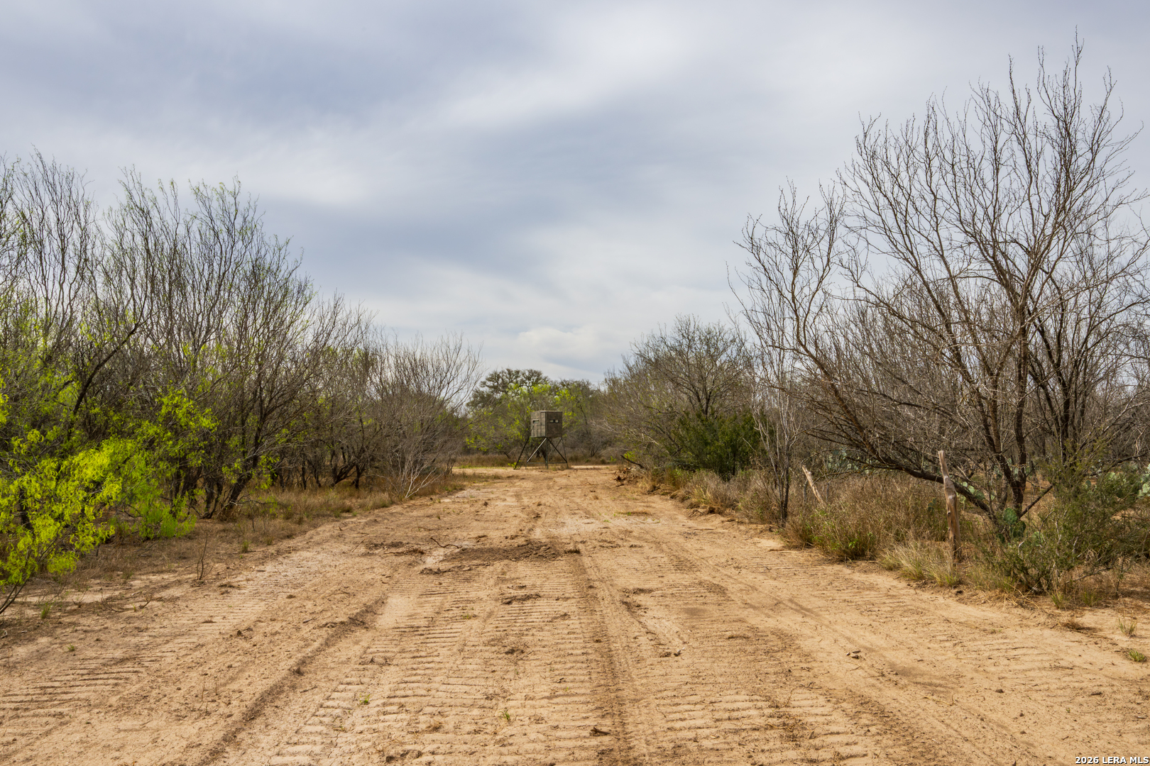 994 Marburger Road Crystal City, TX 78839 - Photo 34 of 47