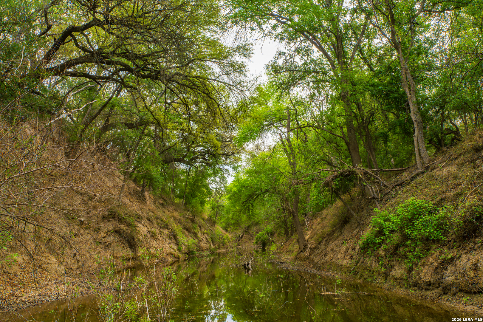 994 Marburger Road Crystal City, TX 78839 - Photo 35 of 47