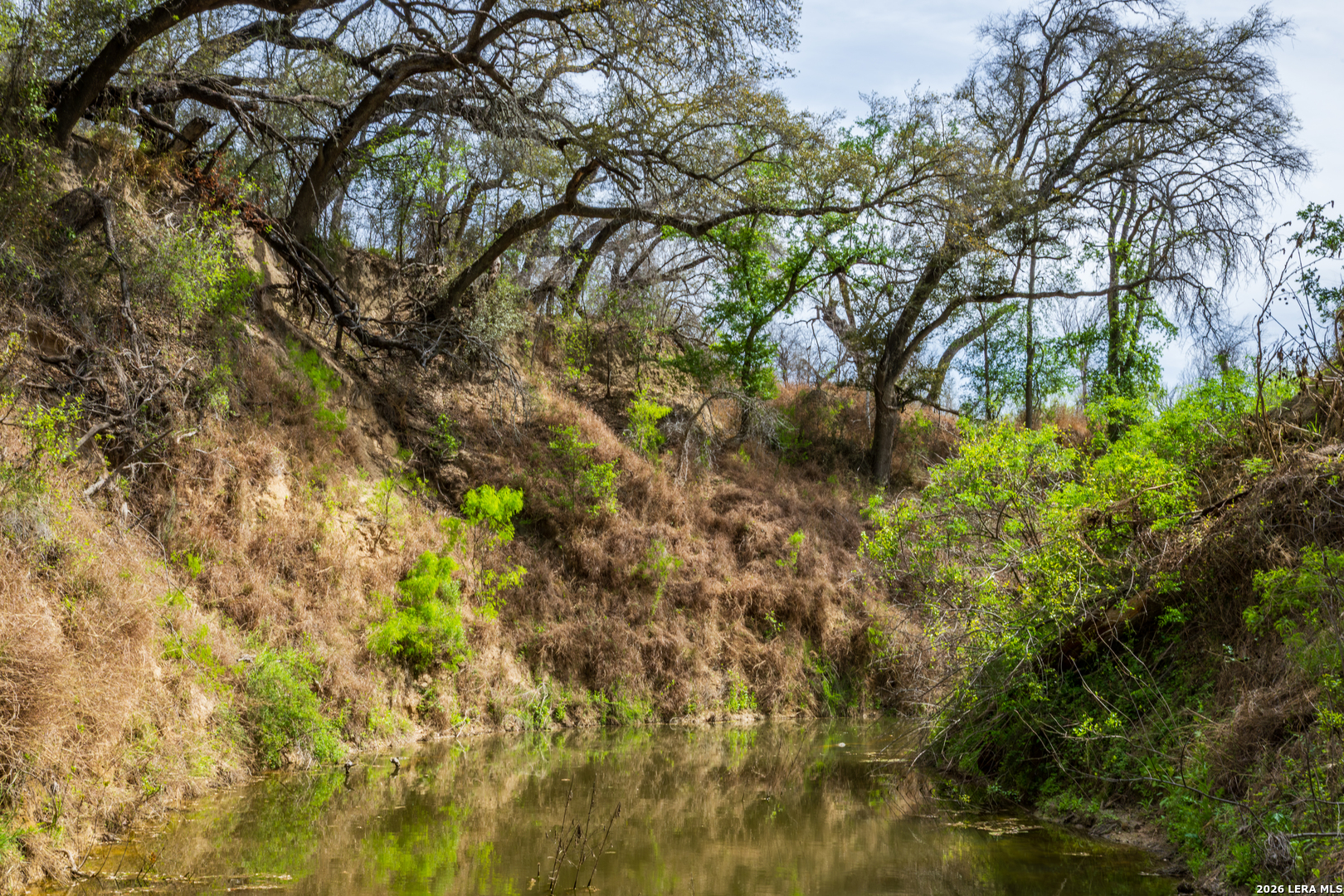 994 Marburger Road Crystal City, TX 78839 - Photo 36 of 47