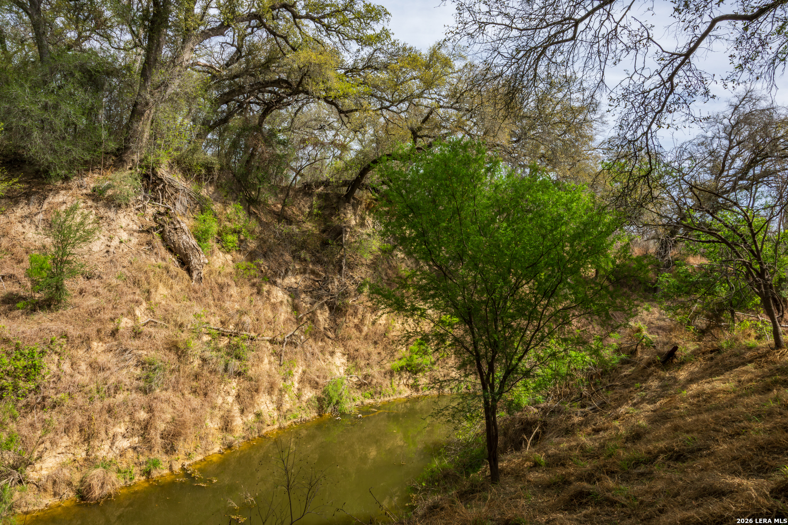 994 Marburger Road Crystal City, TX 78839 - Photo 37 of 47