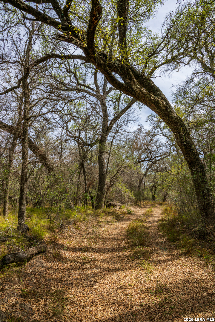 994 Marburger Road Crystal City, TX 78839 - Photo 39 of 47
