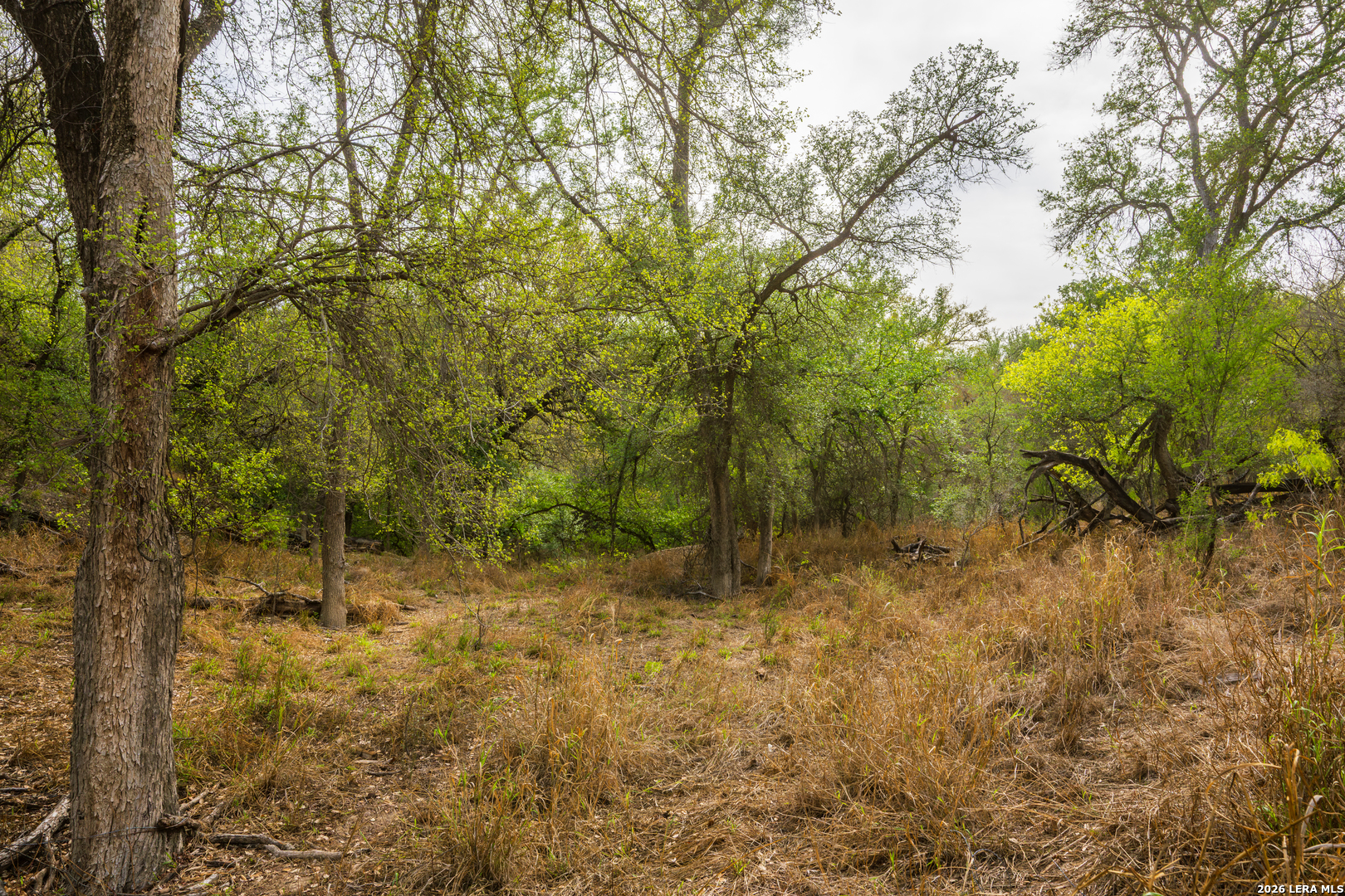 994 Marburger Road Crystal City, TX 78839 - Photo 4 of 47