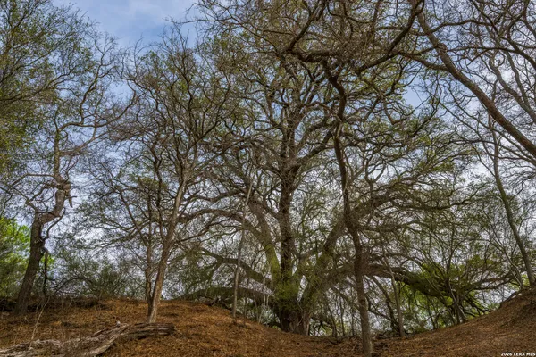 $1,500,000 | 994 Marburger Road, Crystal City, TX 78839