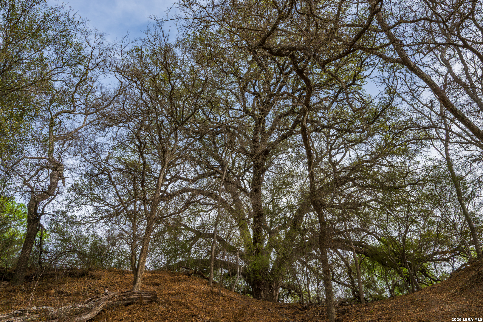 994 Marburger Road Crystal City, TX 78839 - Photo 44 of 47