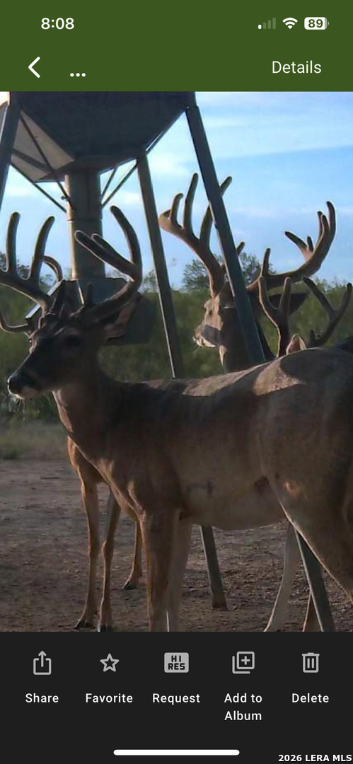 994 Marburger Road Crystal City, TX 78839 - Photo 45 of 47