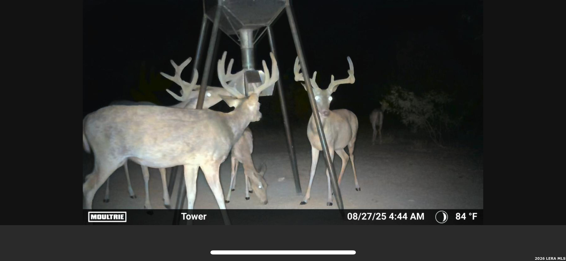 994 Marburger Road Crystal City, TX 78839 - Photo 46 of 47