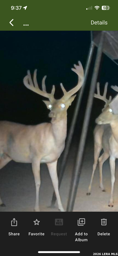 994 Marburger Road Crystal City, TX 78839 - Photo 47 of 47