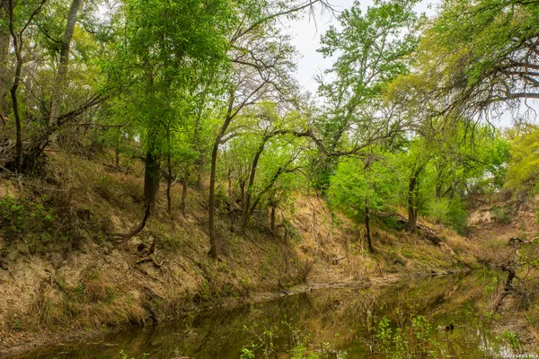 $1,500,000 | 994 Marburger Road, Crystal City, TX 78839