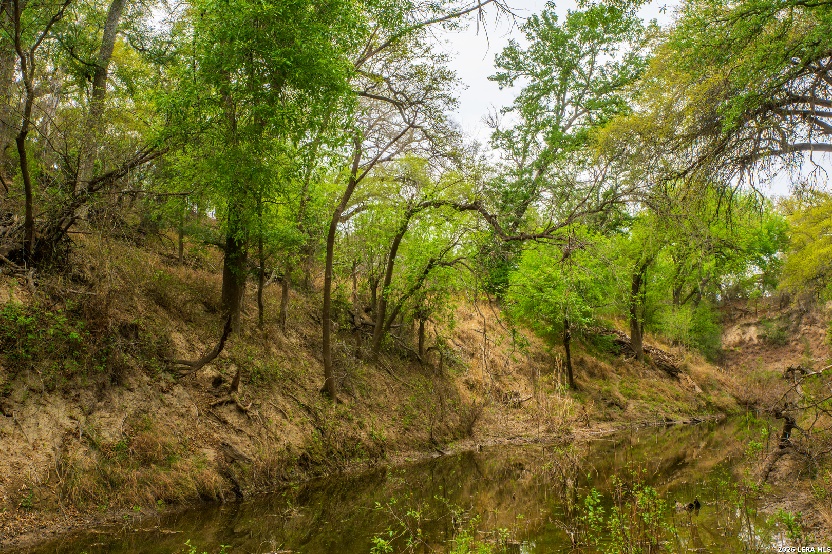 994 Marburger Road Crystal City, TX 78839 - Photo 5 of 47