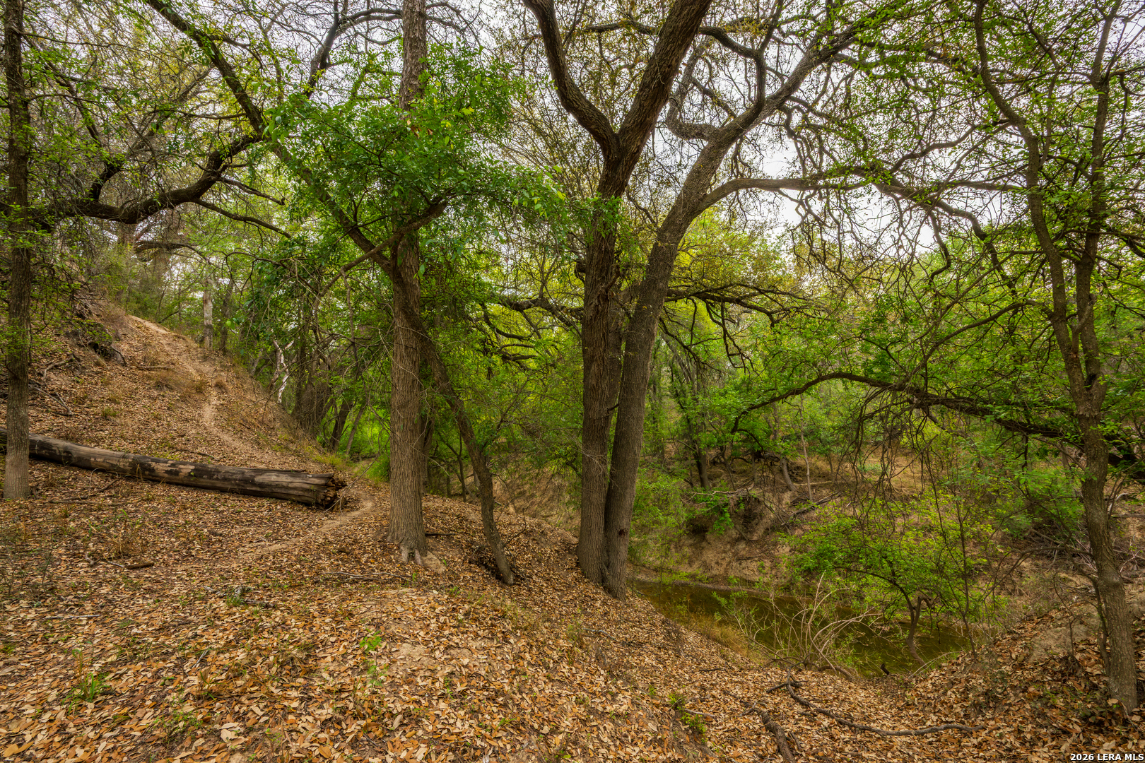 994 Marburger Road Crystal City, TX 78839 - Photo 6 of 47