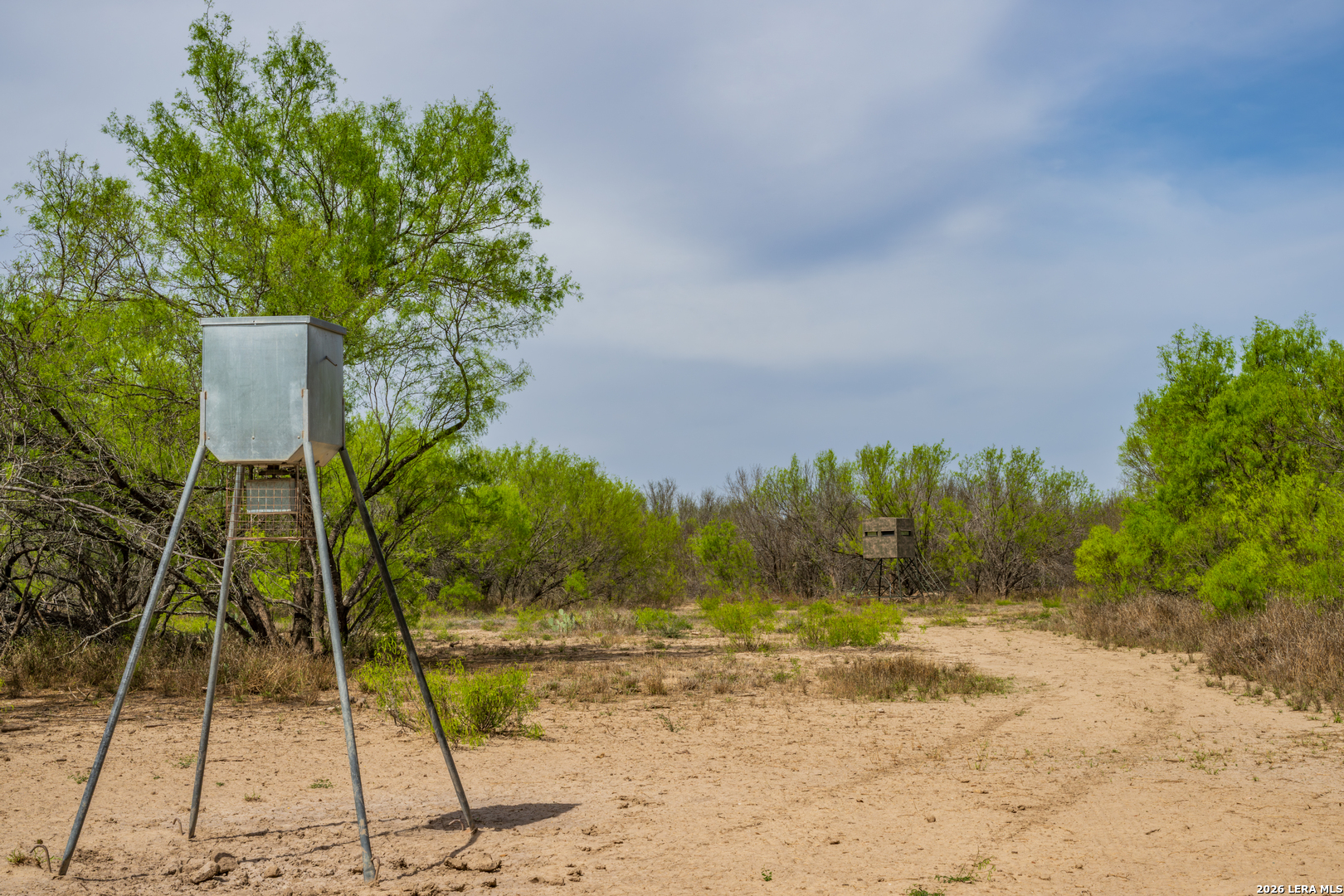 994 Marburger Road Crystal City, TX 78839 - Photo 8 of 47