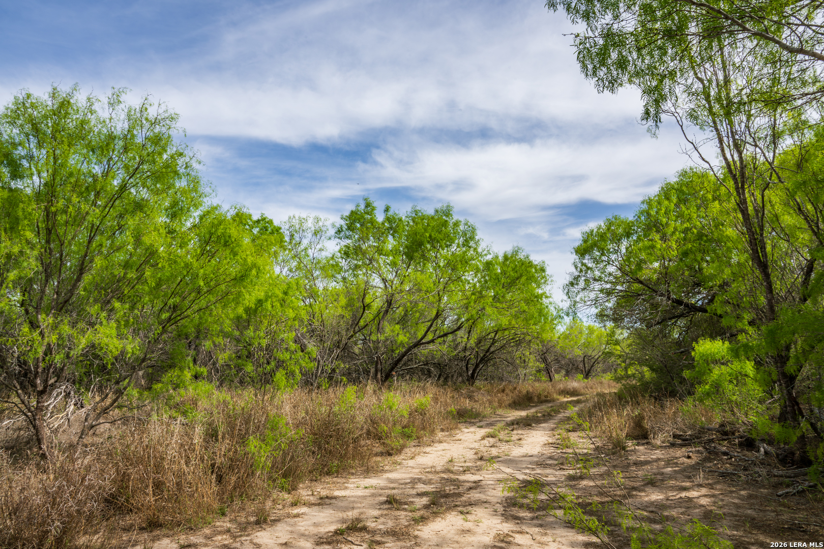 994 Marburger Road Crystal City, TX 78839 - Photo 9 of 47