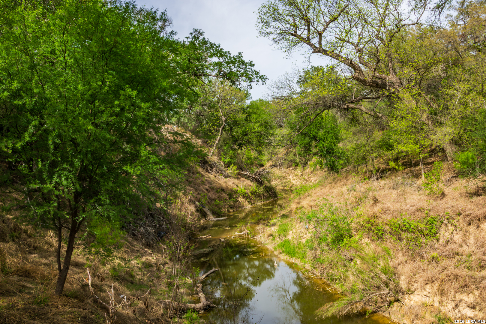 994 Marburger Road Crystal City, TX 78839 - Photo 10 of 47