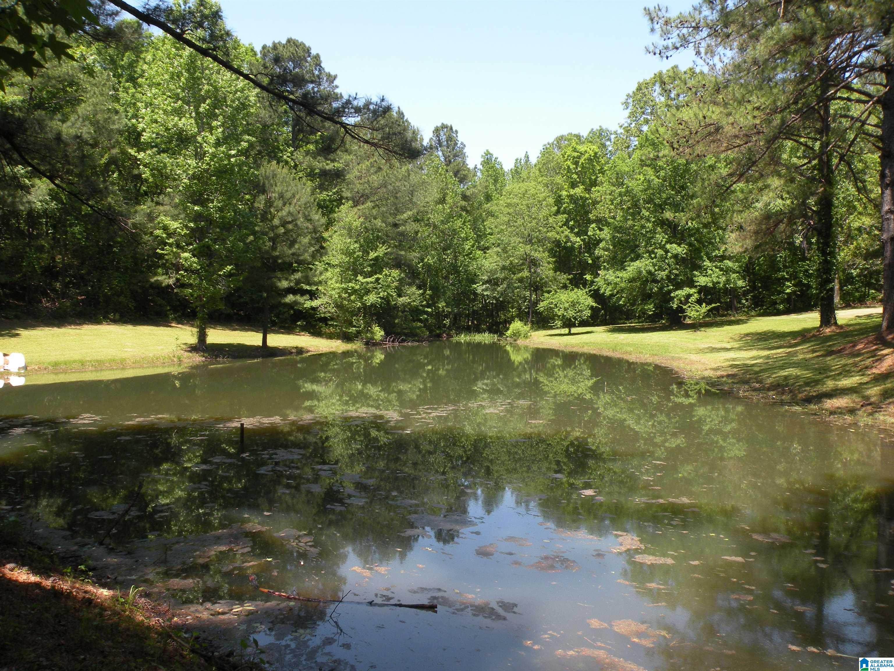 2961 Holmans Cross Road Goodwater, AL 35072 - Photo 20 of 27