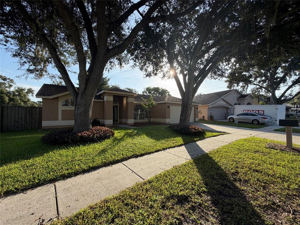 2330 Foggy Ridge Parkway Land O' Lakes, FL 34639 - Photo 29 of 29 Gallery Image 29