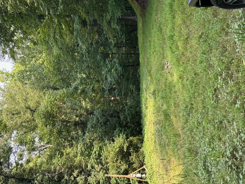 21 Springhollow Drive Hardy, VA 24101 - Photo 1 of 6 Building site