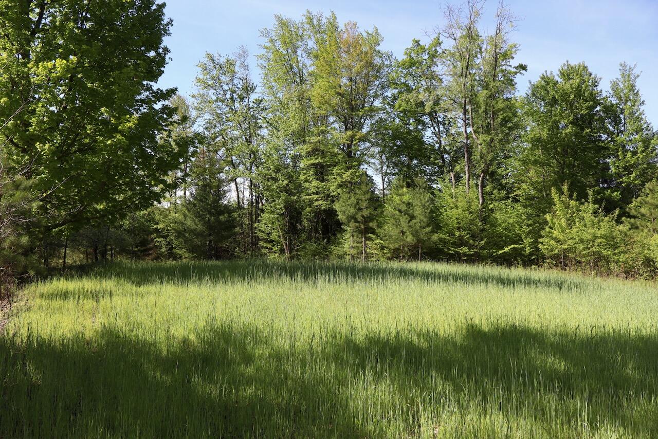 11547 1 Mile Road Leroy, MI 49655 - Photo 43 of 73 34_A
