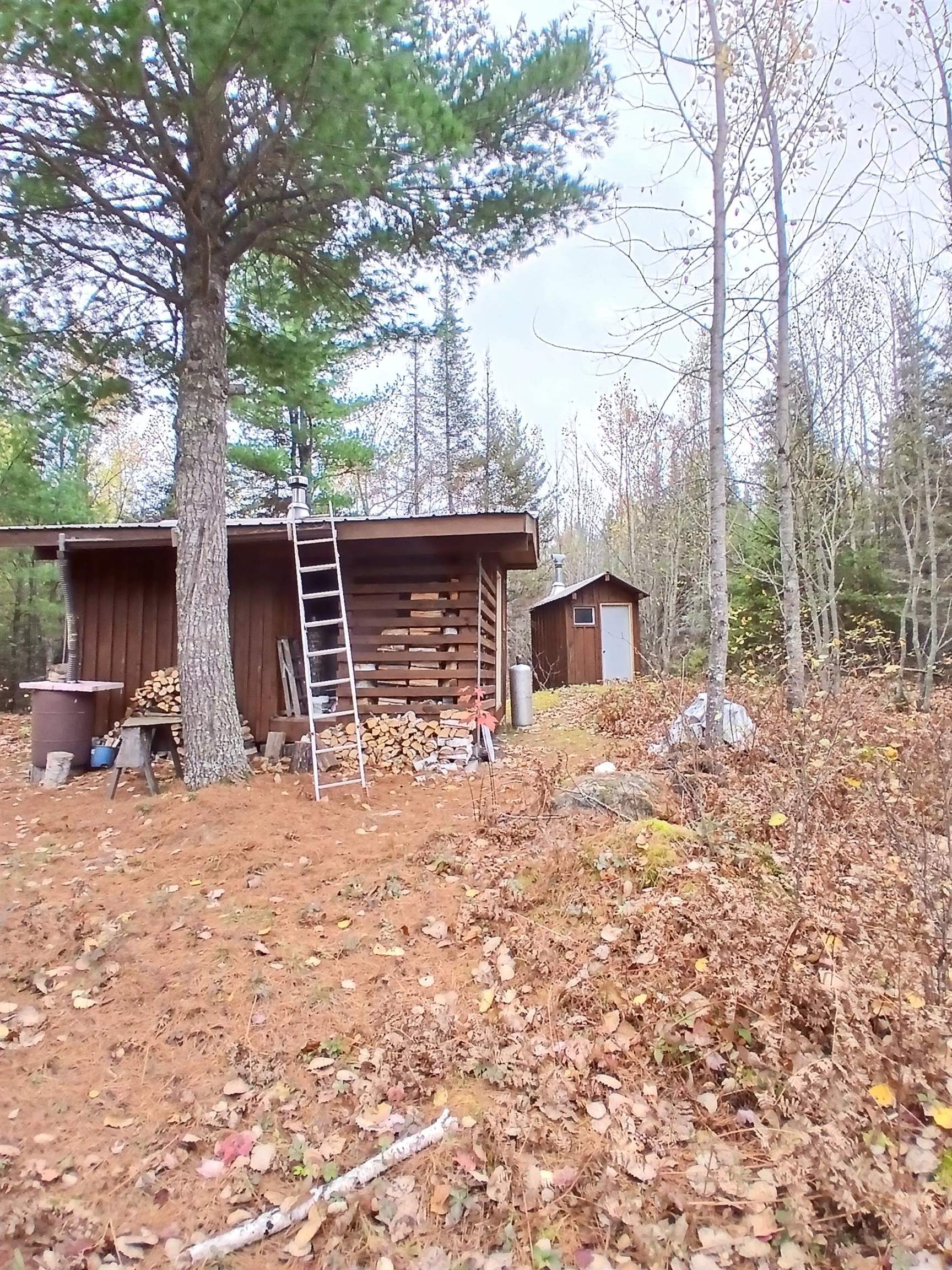 Tbd Echo Trail Tower, MN 55790 - Photo 27 of 35 View of shed