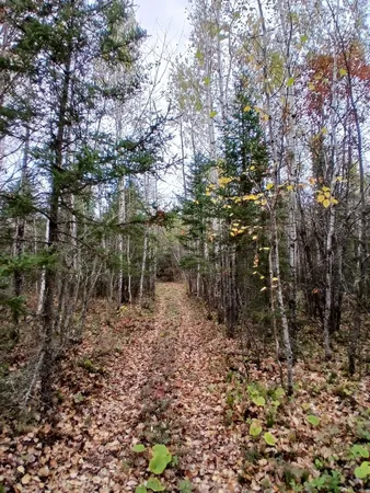 $235,000 | Tbd Echo Trail, Tower, MN 55790