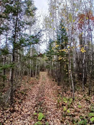$235,000 | Tbd Echo Trail, Tower, MN 55790