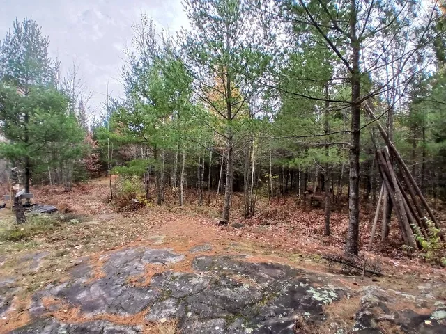 $235,000 | Tbd Echo Trail, Tower, MN 55790