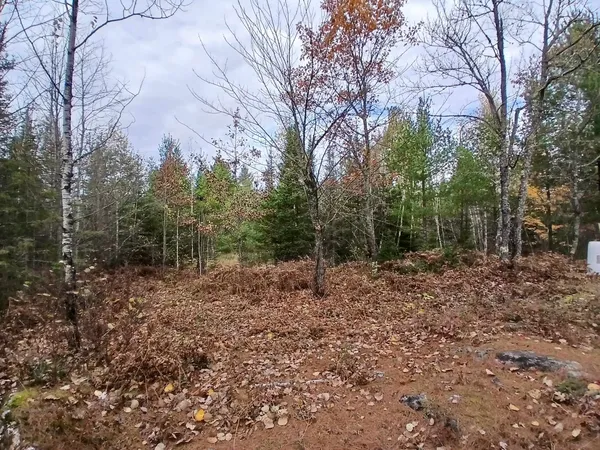 $235,000 | Tbd Echo Trail, Tower, MN 55790