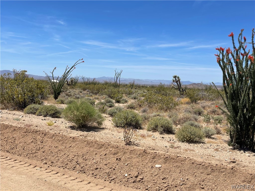 0 Carmen Road Yucca, AZ 86438 - Photo 3 of 24