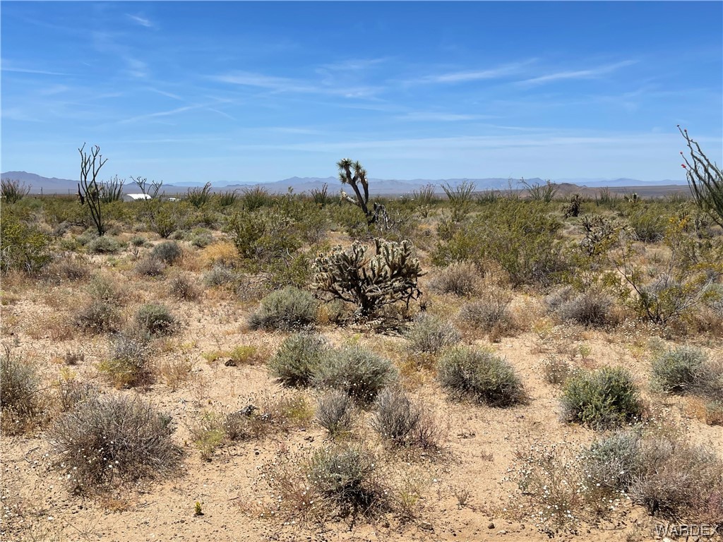 0 Carmen Road Yucca, AZ 86438 - Photo 7 of 24