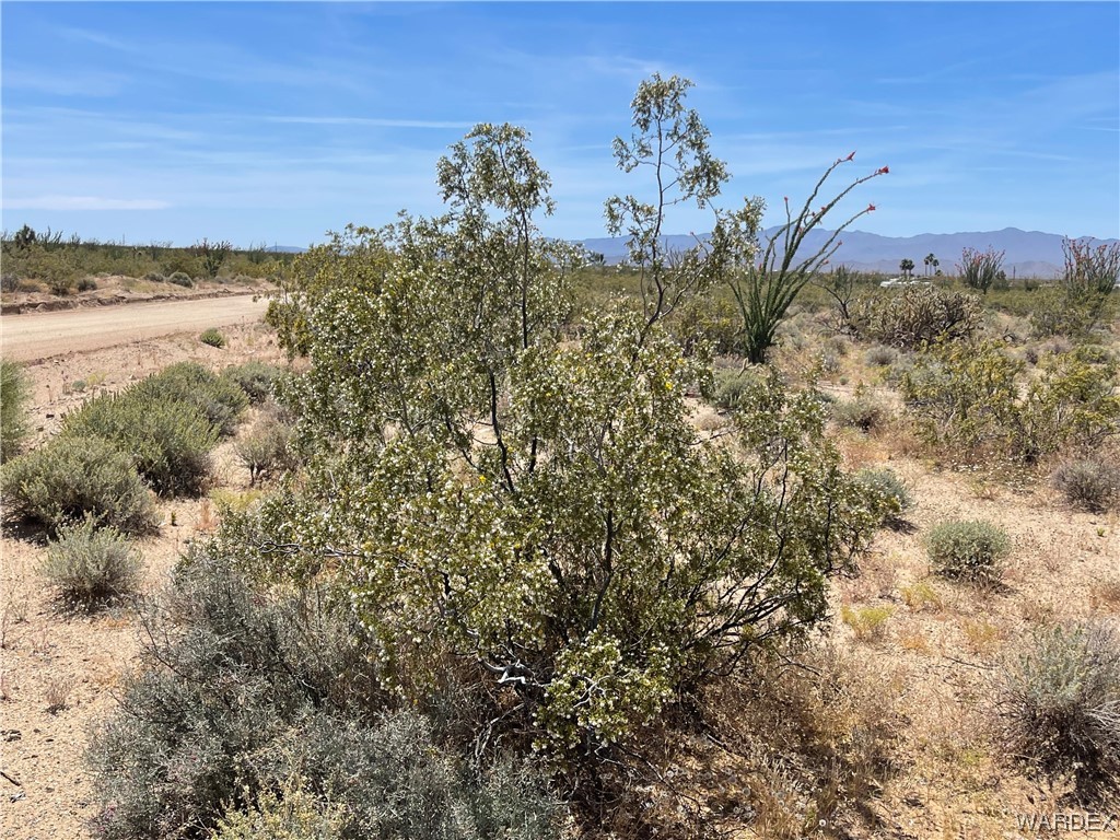 0 Carmen Road Yucca, AZ 86438 - Photo 9 of 24