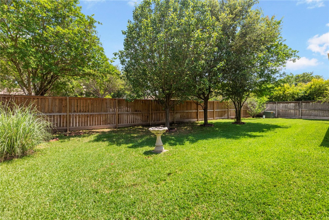 318 Cecelia Loop College Station, TX 77845 - Photo 37 of 38