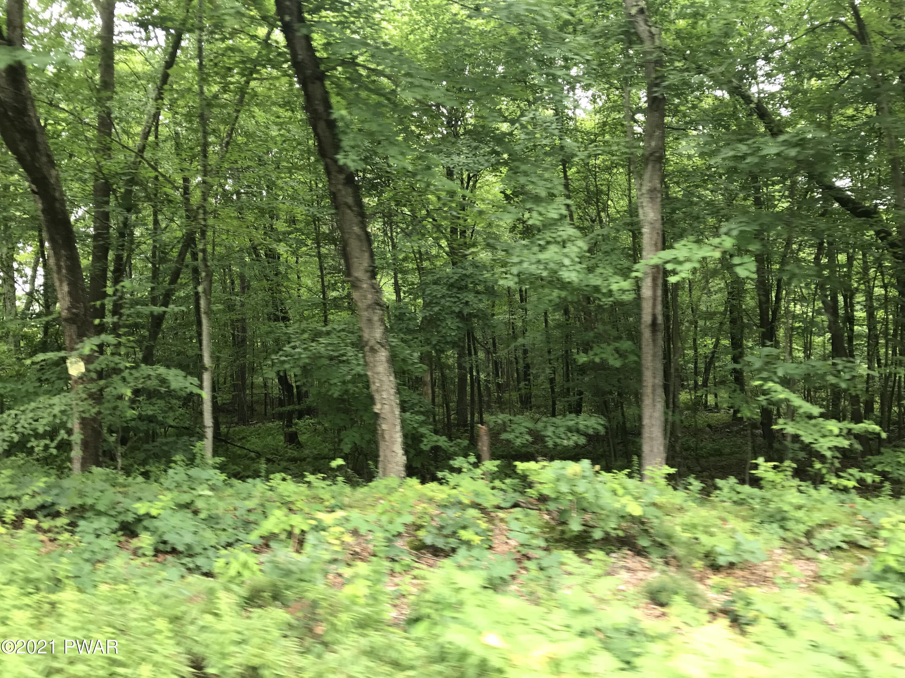 112 Swamp Brook Path Hawley, PA 18428 - Photo 10 of 13 a backyard of a house