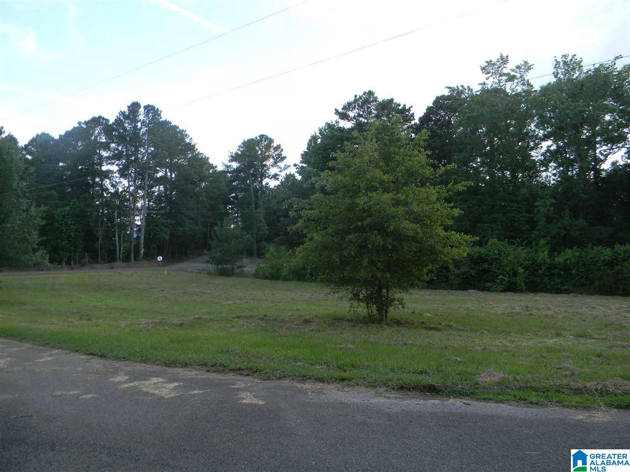 1161 Wallstown Road Hayden, AL 35079 - Photo 31 of 31