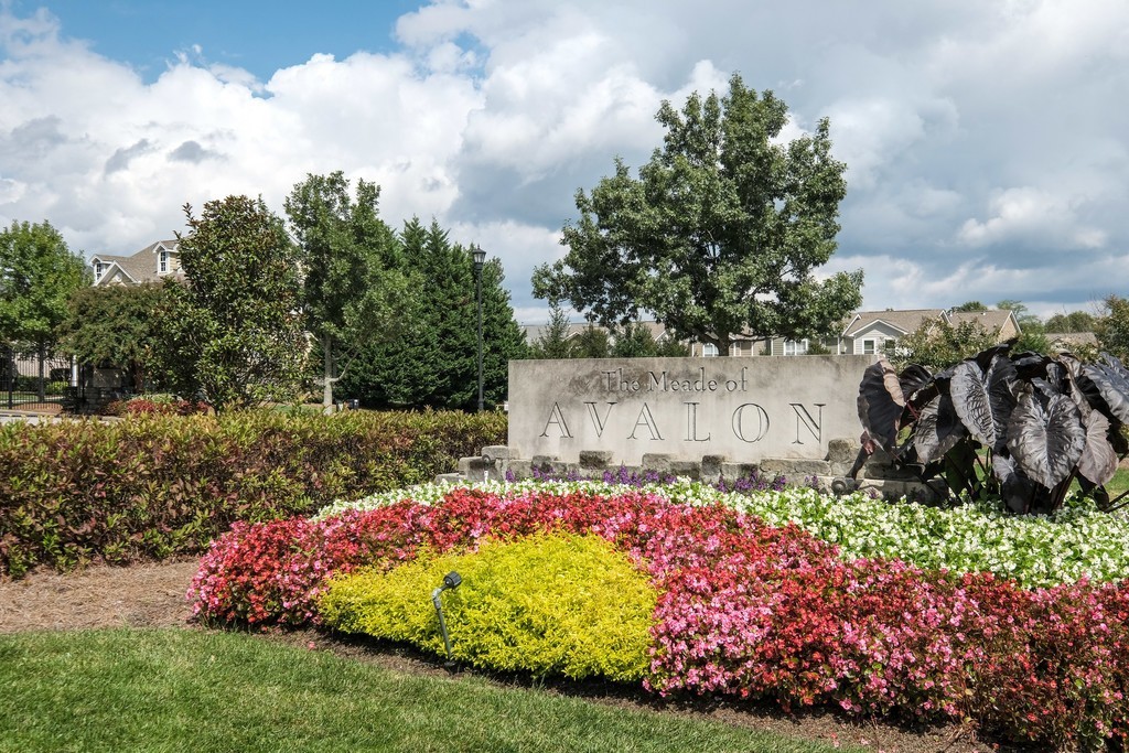 116 Delta Boulevard Franklin, TN 37067 - Photo 5 of 53