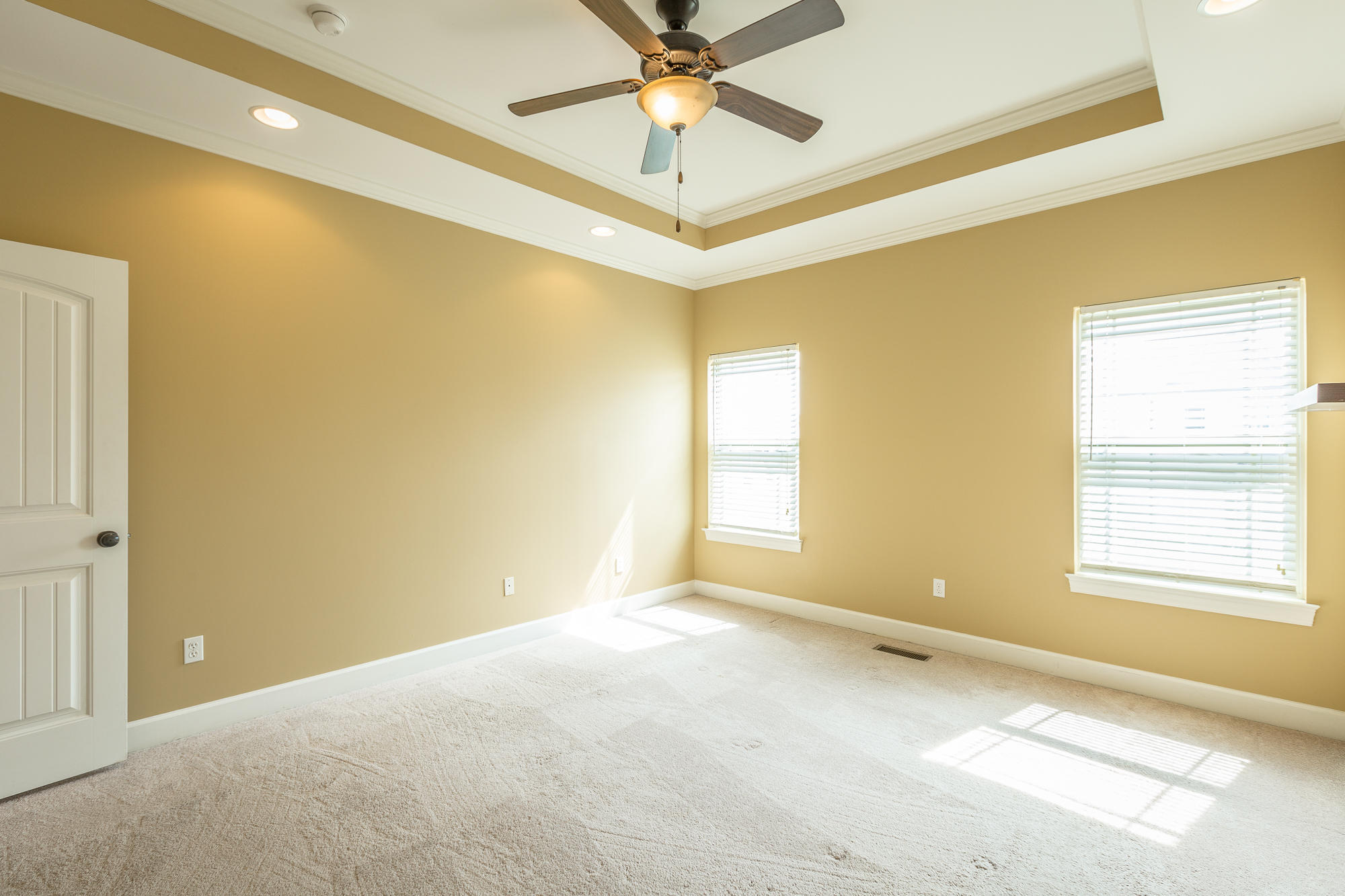 878 Windrush Loop Chattanooga, TN 37421 - Photo 17 of 44 Trey Ceilings
